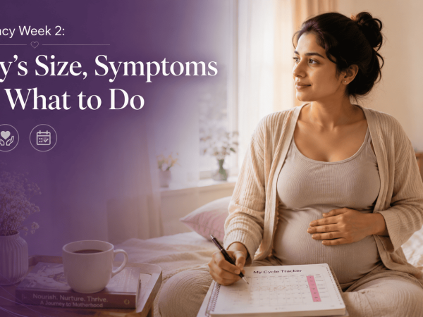Pregnancy Week 2: Baby’s Size, Symptoms and What to Do
